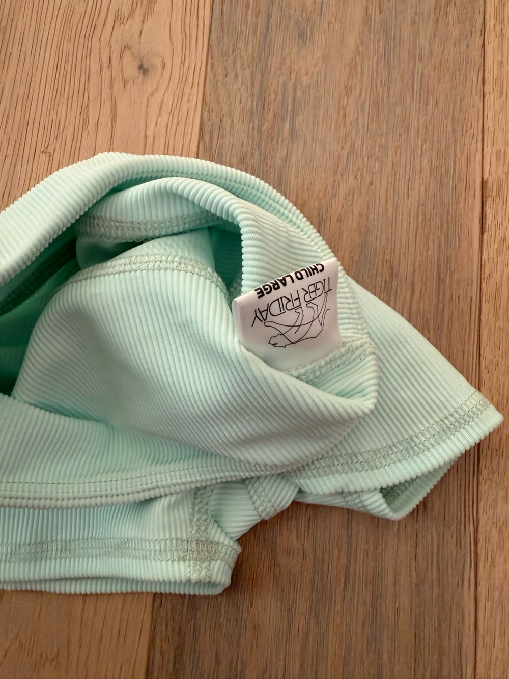 Tiger Friday CL Ruth High-Rise Mint Ribbed Shorts - Picture 3 of 4